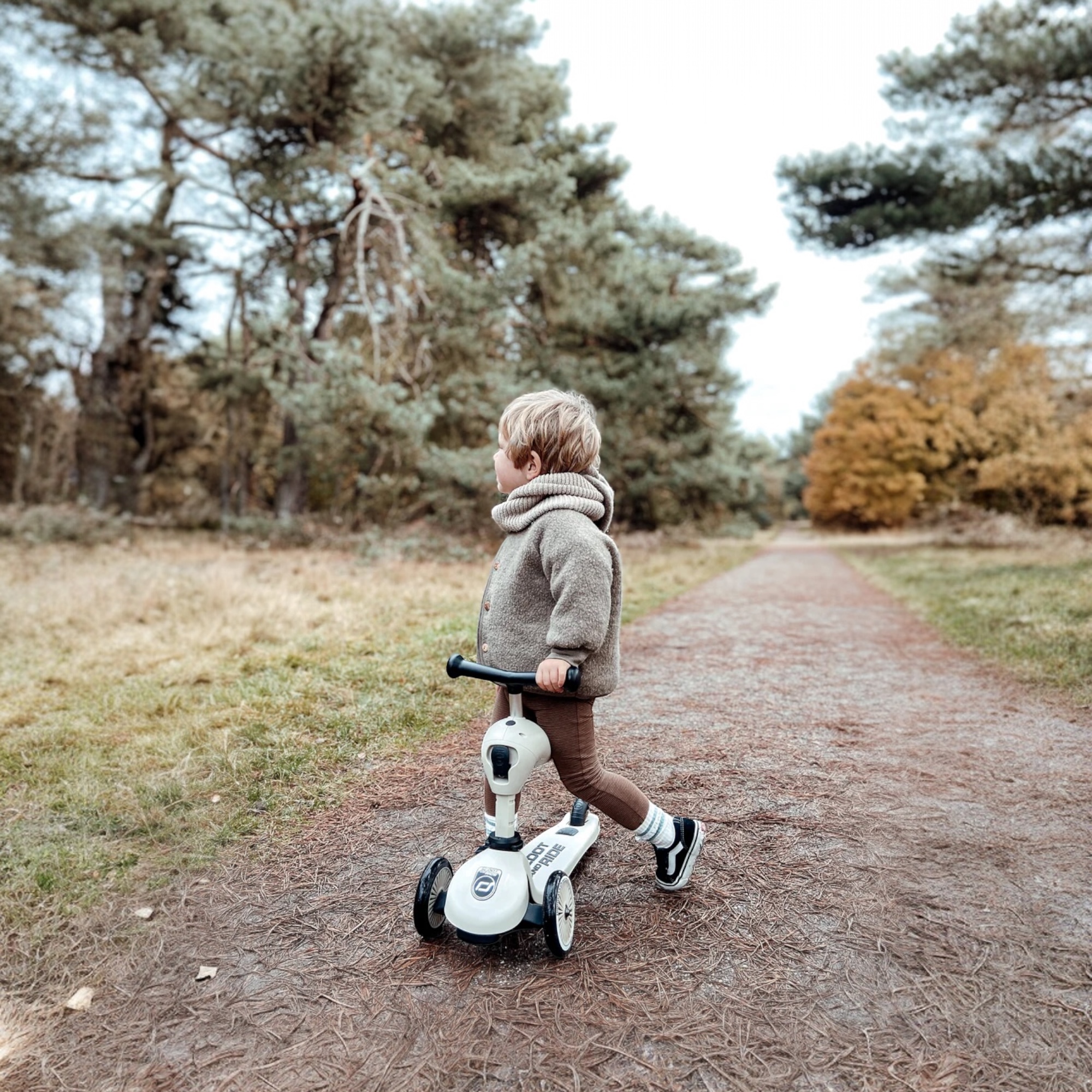 Väikelaps halli Scoot and Ride Highwaykick 1 tõukerattaga istumisasendis metsateel, avastamas ümbritsevat loodust.